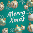 Merry Christmas typography