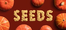 Seed typography