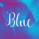 Blue photo card