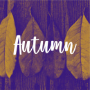 Autumn photo card