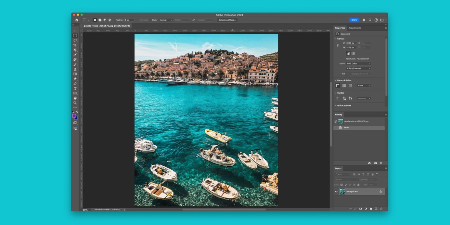 Photoshop raster graphic editing.