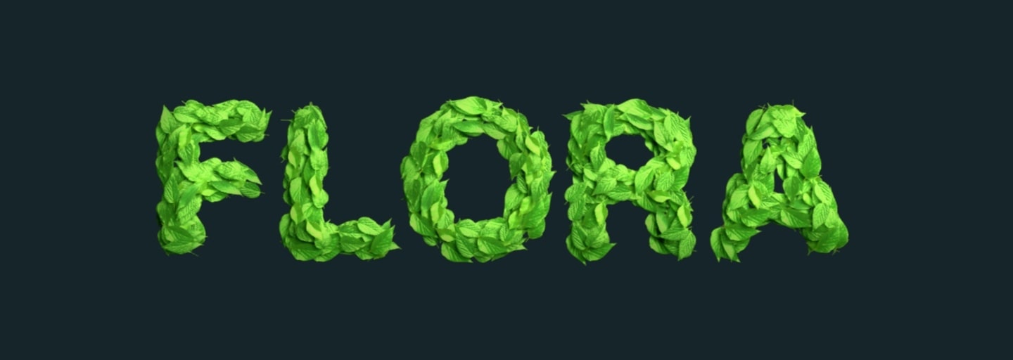 Greenery, color of the year 2017, in a text effect.