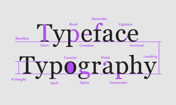 Introduction to typography basics.